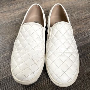 Steve Madden size 7 Ecentrcq Sneaker